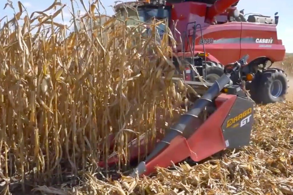 Indiana brother chose superior corn head performance over brand loyalty for better ROI.