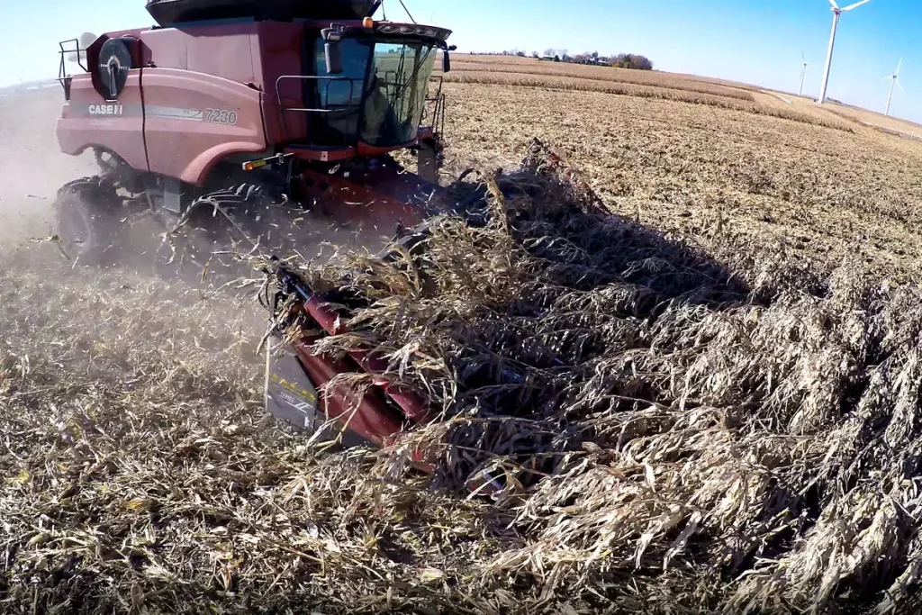 Nebraska Farmer Shares Insights on Harvesting Downed Corn with a Drago