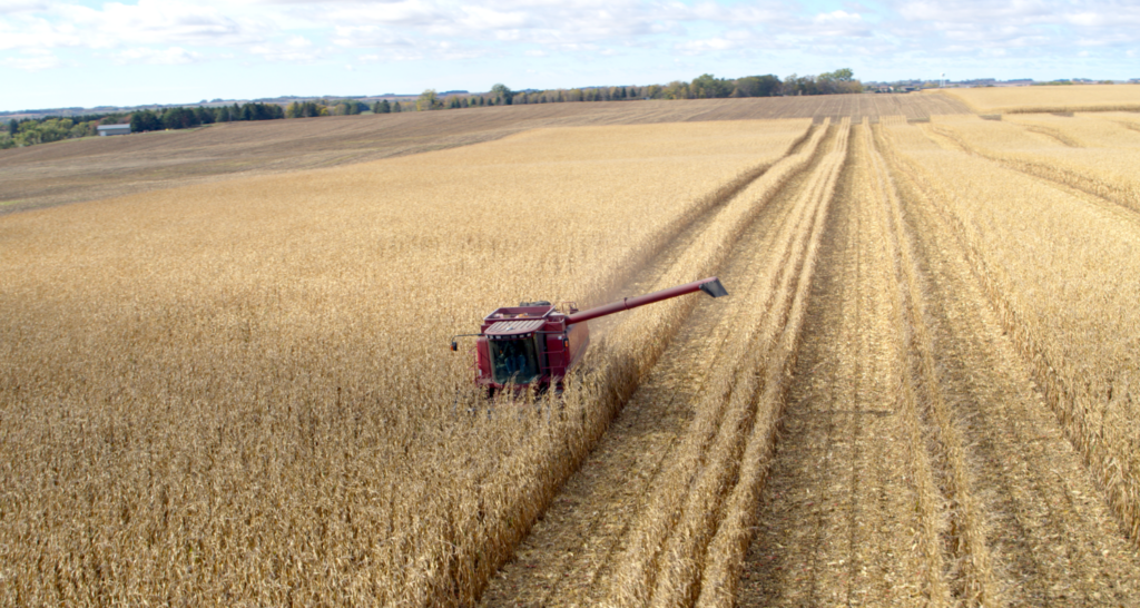Every Kernel Counts — That’s Why Ag PhD Research Counts on Drago